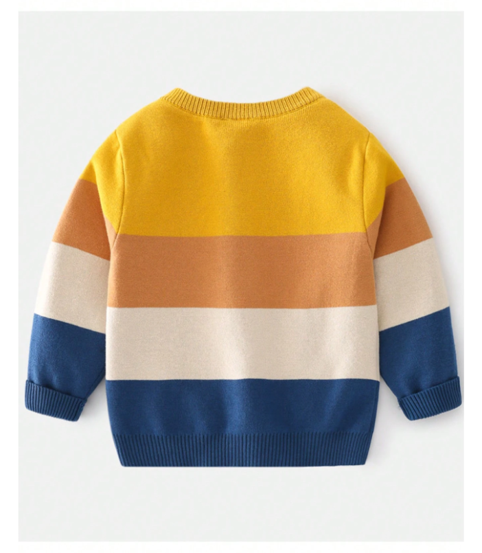 Young Boys Casual Colorblock Cartoon Animal Pattern Knitted Sweater, Autumn/Winter